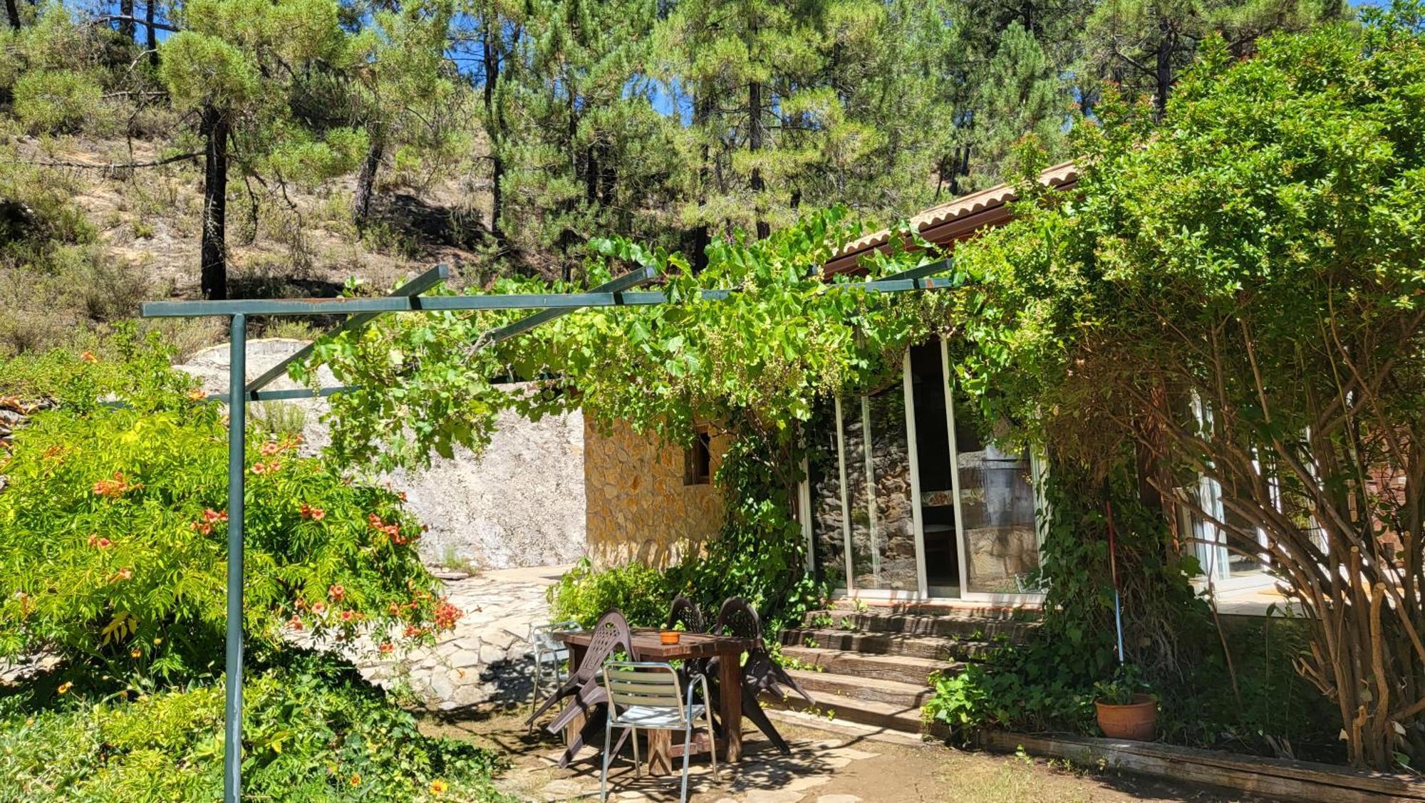 Villa De Montana Parque Natural Calar Del Rio Mundo - Independiente - 4 Dormitorios - 2 Banos Riopar Ngoại thất bức ảnh